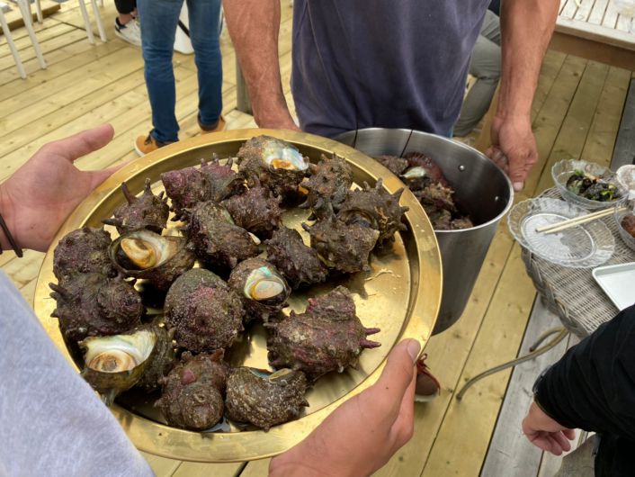 2020ベクトップBBQ10