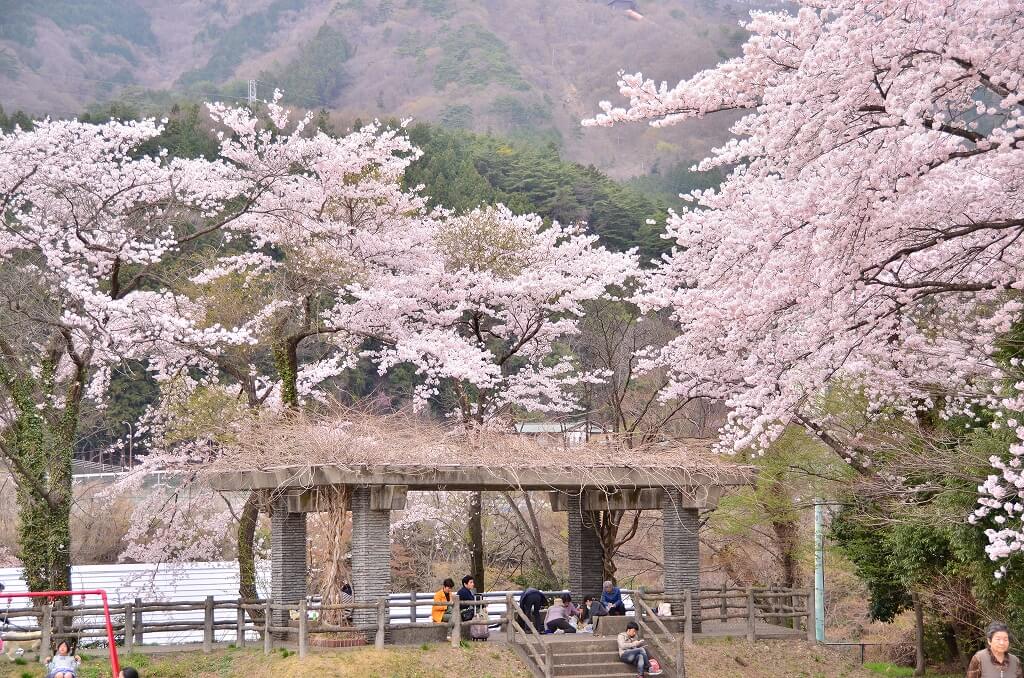 ベクトップ鬼怒川温泉社員旅行8